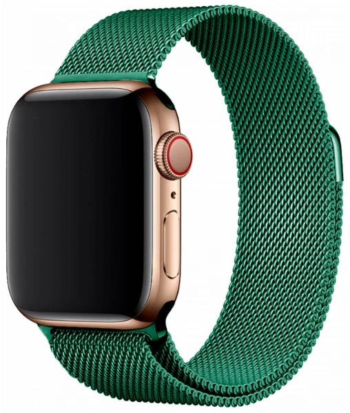 Ремешок для Apple Watch 38-40mm зеленый metall